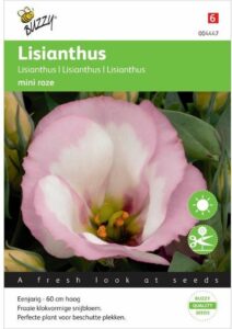 Buzzy® Lisianthus mini rose