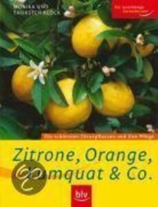 Zitrone, Orange, Kumquat & Co.