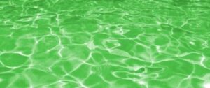 algen in zwembad