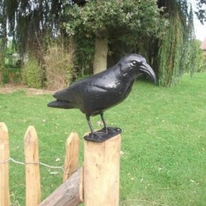 Lifetime Vogelverschrikker - duivenverjager raaf - zwarte kraai van plastic - 3 Stuks