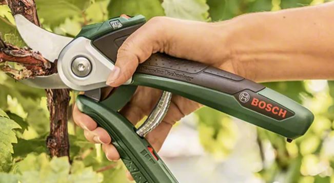 Beste snoeischaren in 2023 kopen, aanbiedingen en reviews