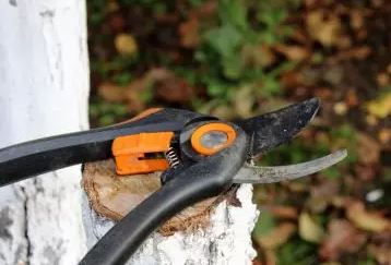 Onderhoud van snoeischaren: Een gids in 5 stappen