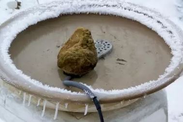 Vogelbad – wanneer is het winterproof?