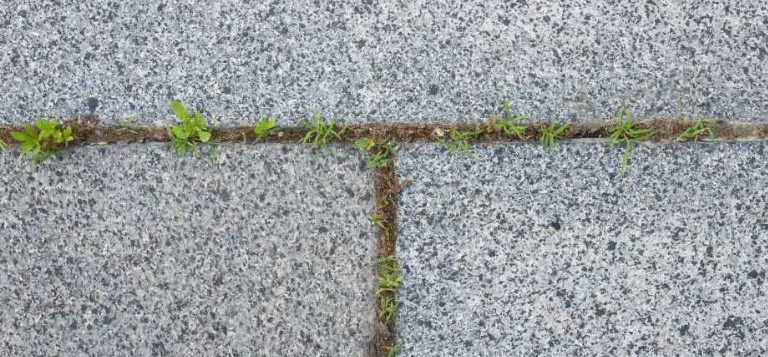 Elektrische voegenreiniger – verwijder onkruid comfortabel & veilig