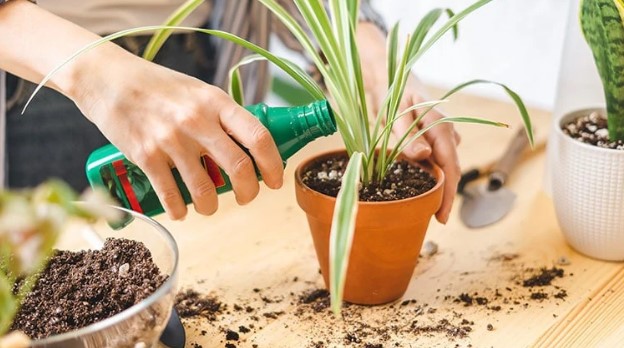 Vloeibare meststof – alle belangrijke voedingsstoffen voor gezonde en sterke planten