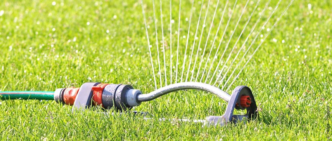 De tuin goed besproeien: Tips voor water geven in de zomer