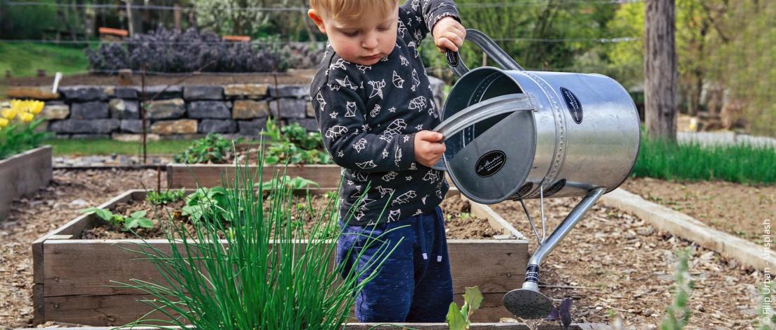 Maankalender: Hoe tuinieren volgens de maan - Agri World