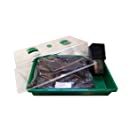 Het kweken van koolrabi: Locatie, verzorging, oogst en plagen