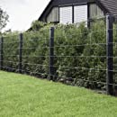 Huisdierveilige tuin: 5 tips om viervoeters te beschermen