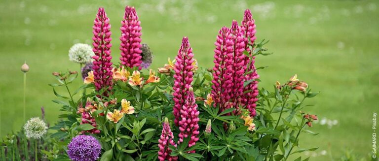 Milieubescherming in de tuin: tips voor maatregelen en gedrag