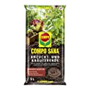 Bieslook planten, verzorgen en oogsten