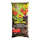 Zaaien, planten, verzorgen en oogsten van wilde knoflook