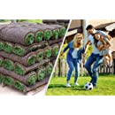 Gras - Premium Sport- en Speelgras, 30 m³