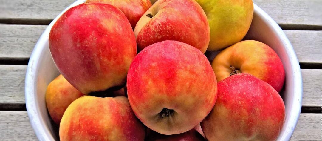 Appelbomen: de beste appelsoorten voor de tuin