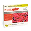nemaplus® SF nematoden voor de bestrijding van varenrouwmuggen