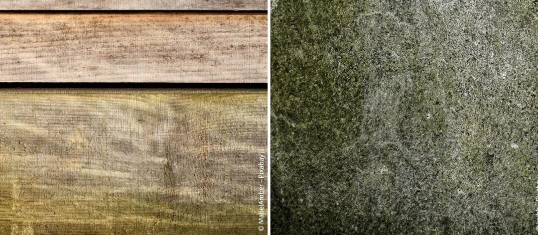 Effectief bestrijden en voorkomen van schimmel in het tuinhuisje