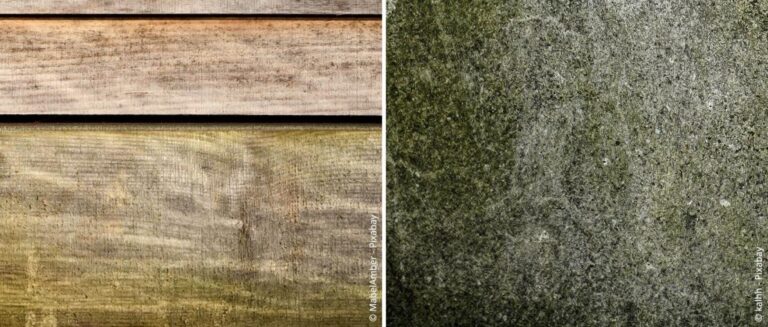 Effectief bestrijden en voorkomen van schimmel in het tuinhuisje