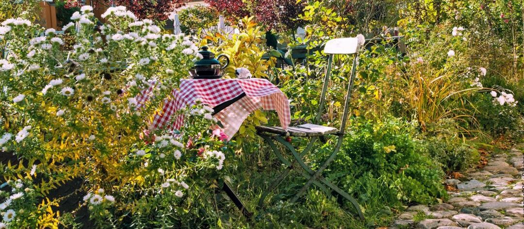 Blackbox tuinieren: definitie, procedure en planttips
