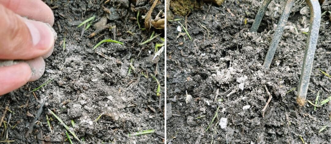 Gebruik as als meststof: Welke houtas is geschikt voor
