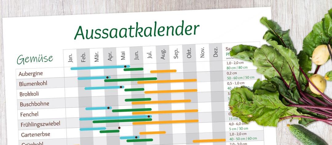Zaaikalender 2023: welke planten worden wanneer gezaaid