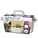 Nelson Garden Hydroponic Grow Box Kit - Harvy 3 + LED