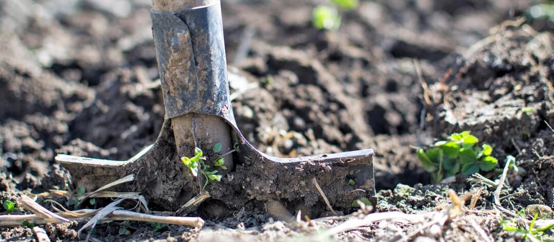 Kleigrond in de tuin losmaken en verbeteren