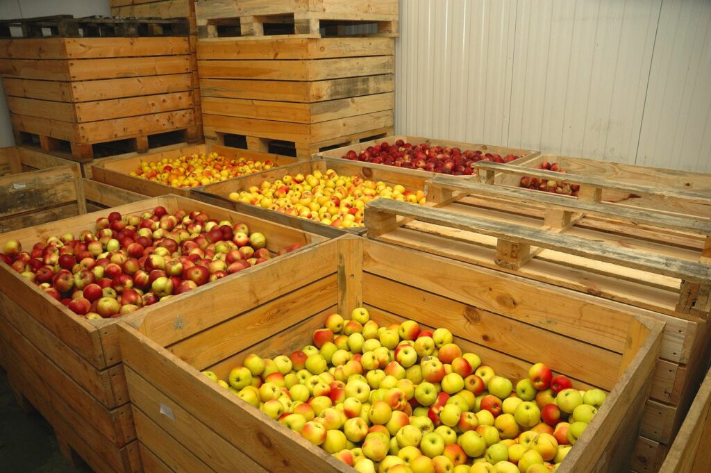 Appels in houten kistjes