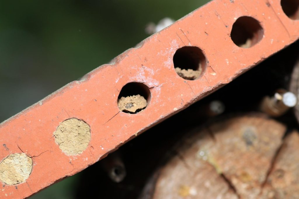 Nesthulp voor wilde bijen gemaakt van oude bakstenen