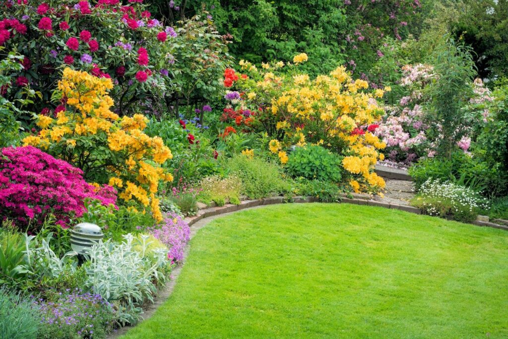 Tuin met groen gazon en bloeiende bloemen