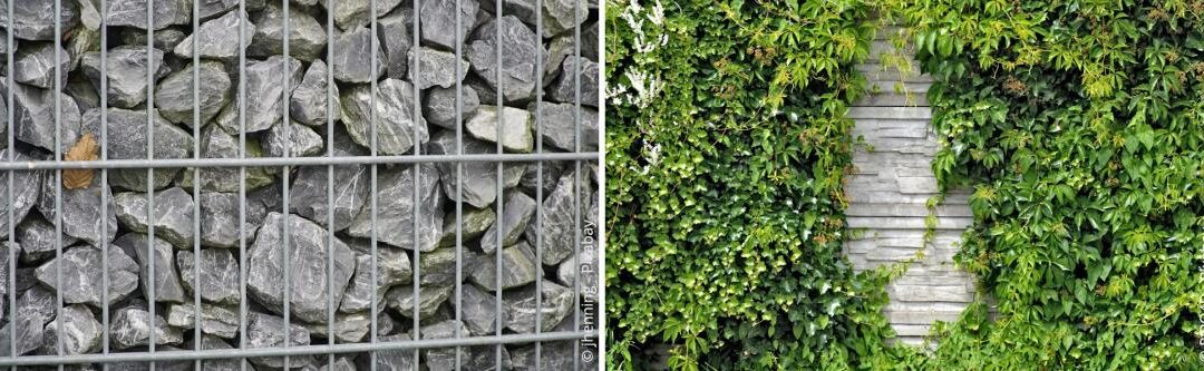 Geluidsbescherming in de tuin: Hoe zorgt u voor meer rust?