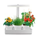 Northpoint LED Plant Light, 22 W