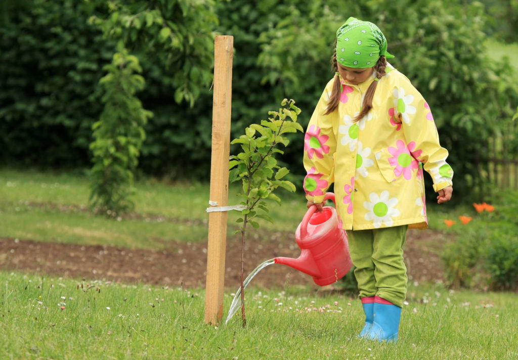 Meisje geeft pas geplante boom water