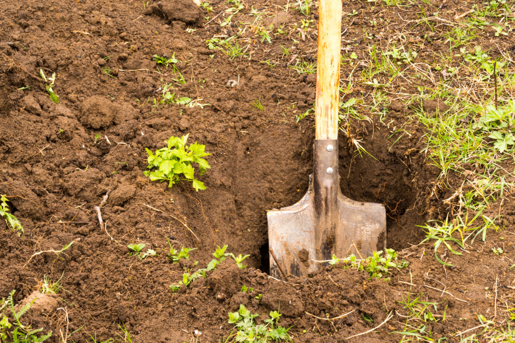 Plantura gegraven met een spade