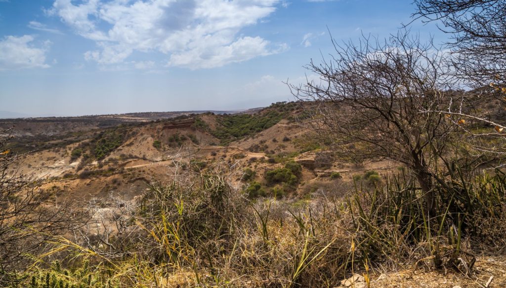 Landschap Tanzania