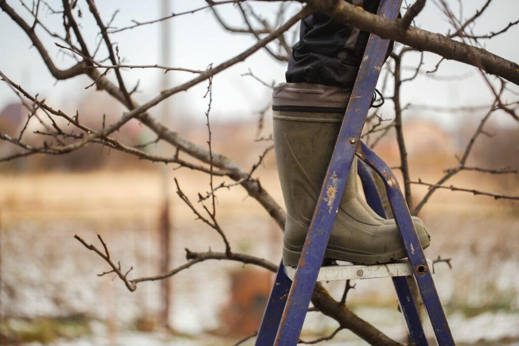 Ladder voor appelboom