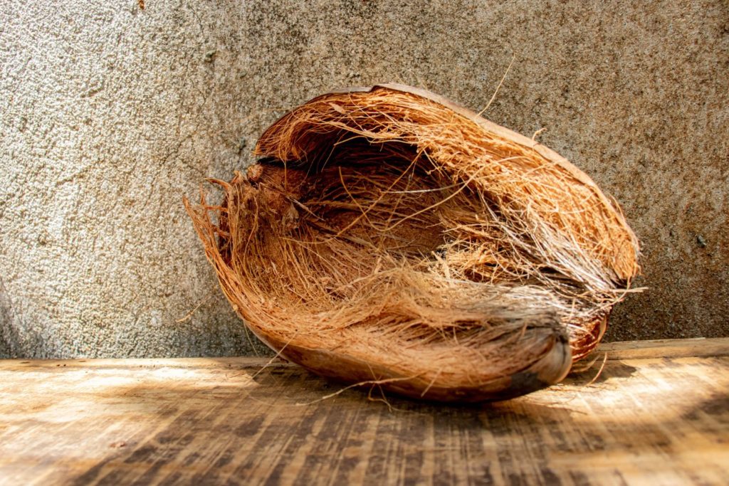 Kokosnoot liggend op een tafel