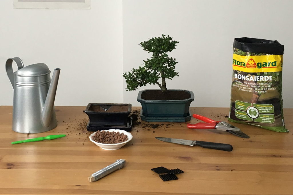 Materialen voor het verpotten van bonsai op een tafel