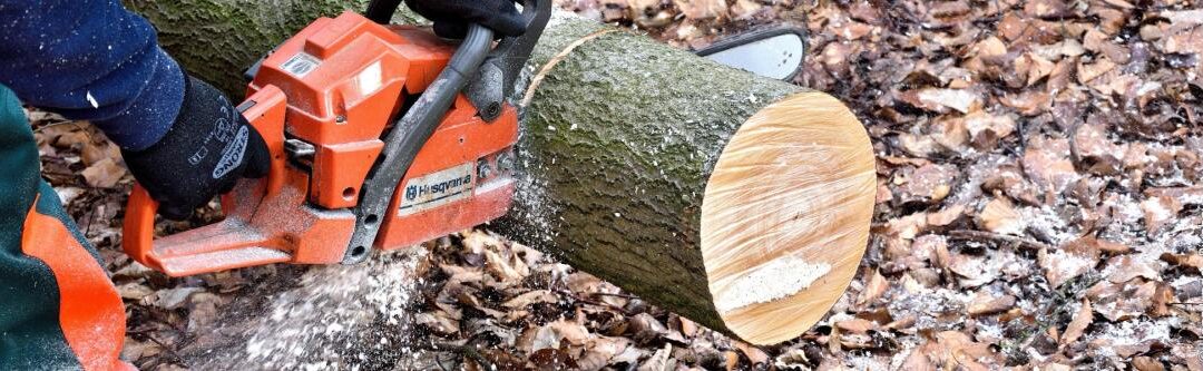 Gemeenschappelijke tuinboetes: waarop letten