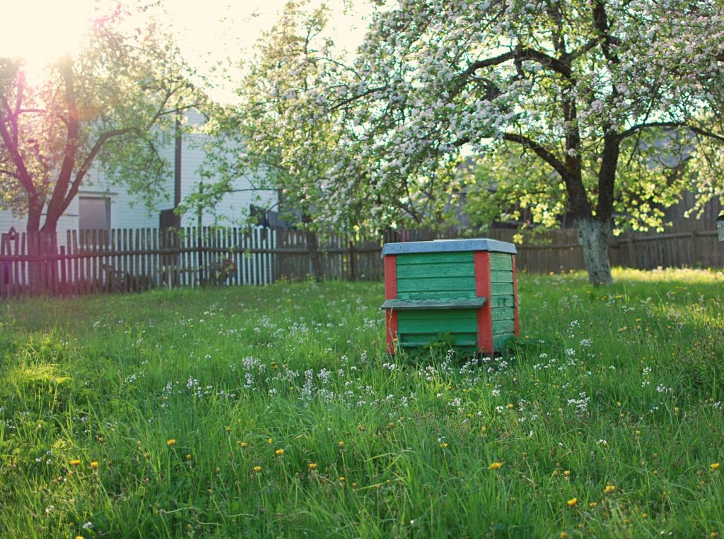 Een bijenkorf in de groene tuin