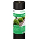 Planten en bedden veilig de winter doorbrengen