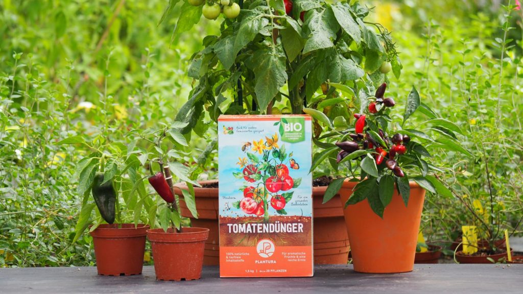 Plantura tomatenmest met potplanten