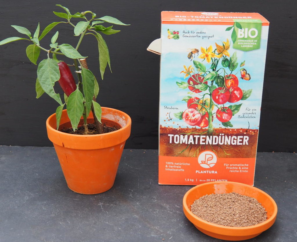 Plantura Organische Tomatenmeststof naast een chiliplant