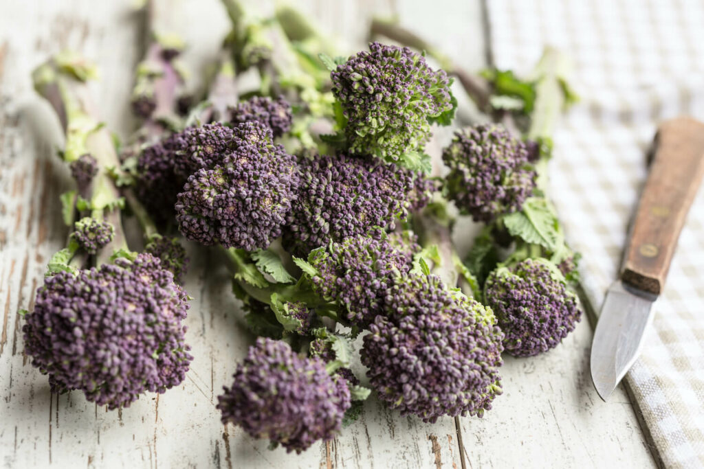 paarse broccoli