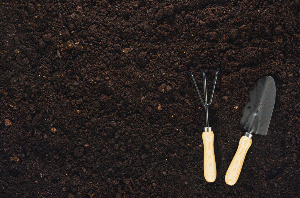 Bespaar CO2 met Plantura biologische bodems