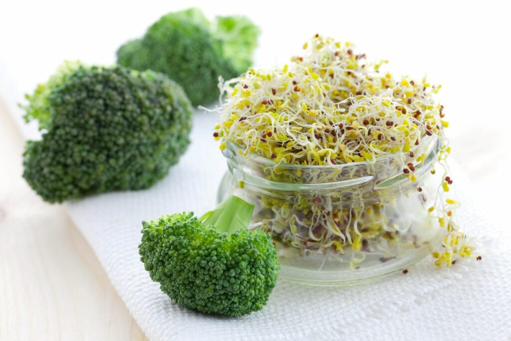 Broccoli en broccolikiemen