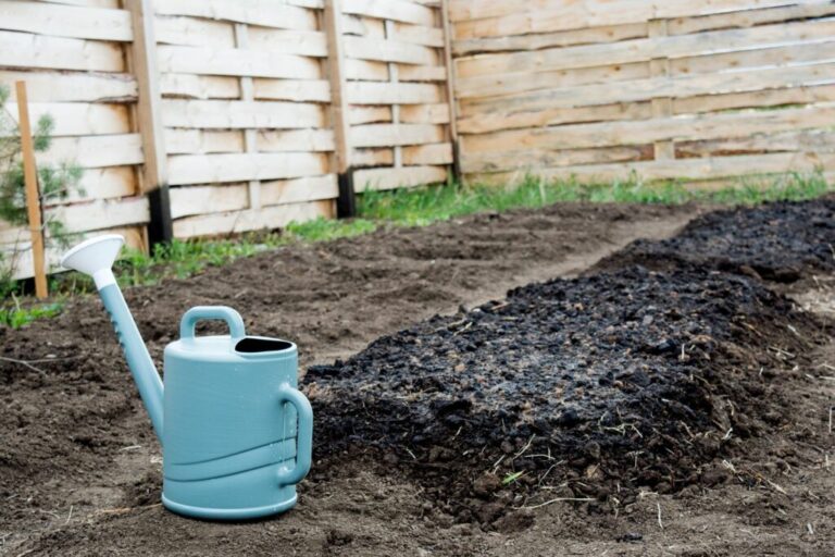 Een compostbed aanleggen en planten: zo werkt het