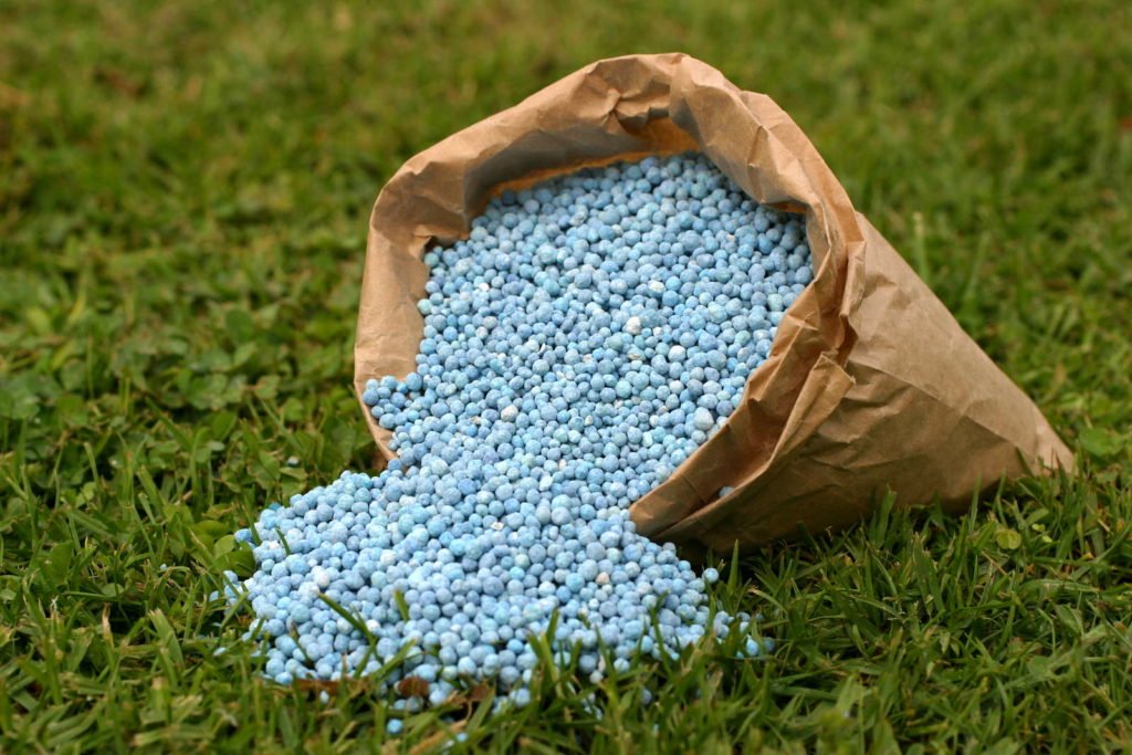 Blauw graan in een zak op gazons