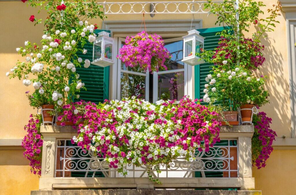 Hangplanten voor het balkon: de mooiste in één oogopslag