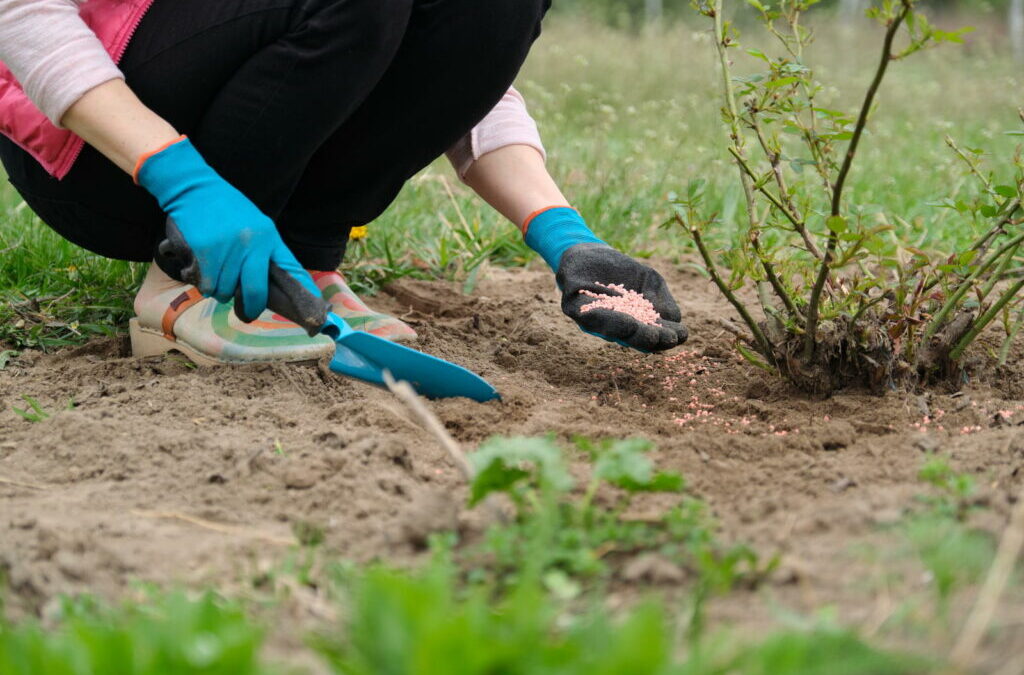 Het bemesten van planten: Experttips & algemene bemestingsregels