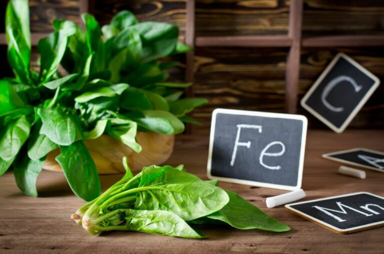 IJzerrijke groenten: Welke groenten bevatten veel ijzer?